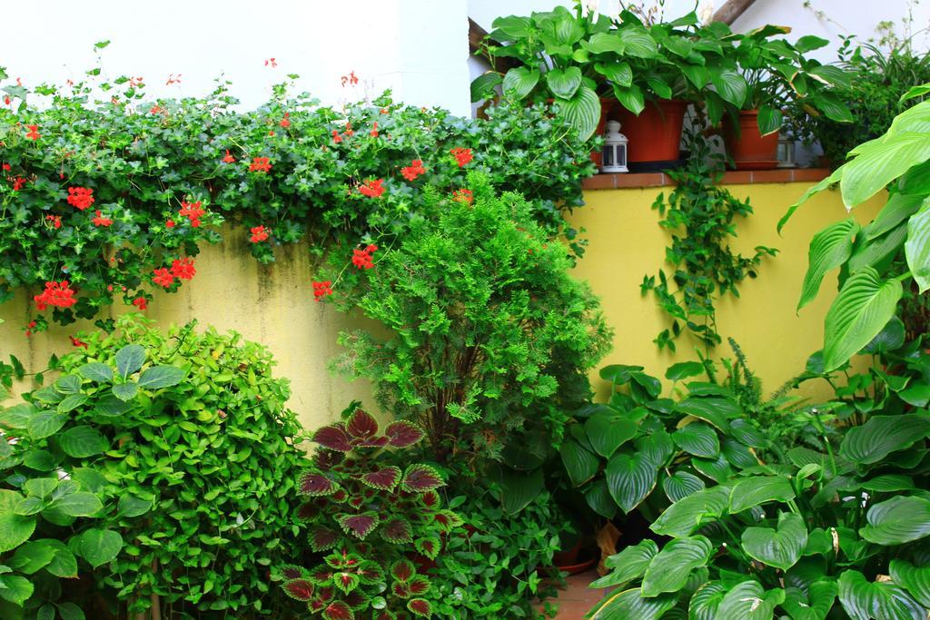 Hostal Escartin Sabiñánigo Exteriér fotografie