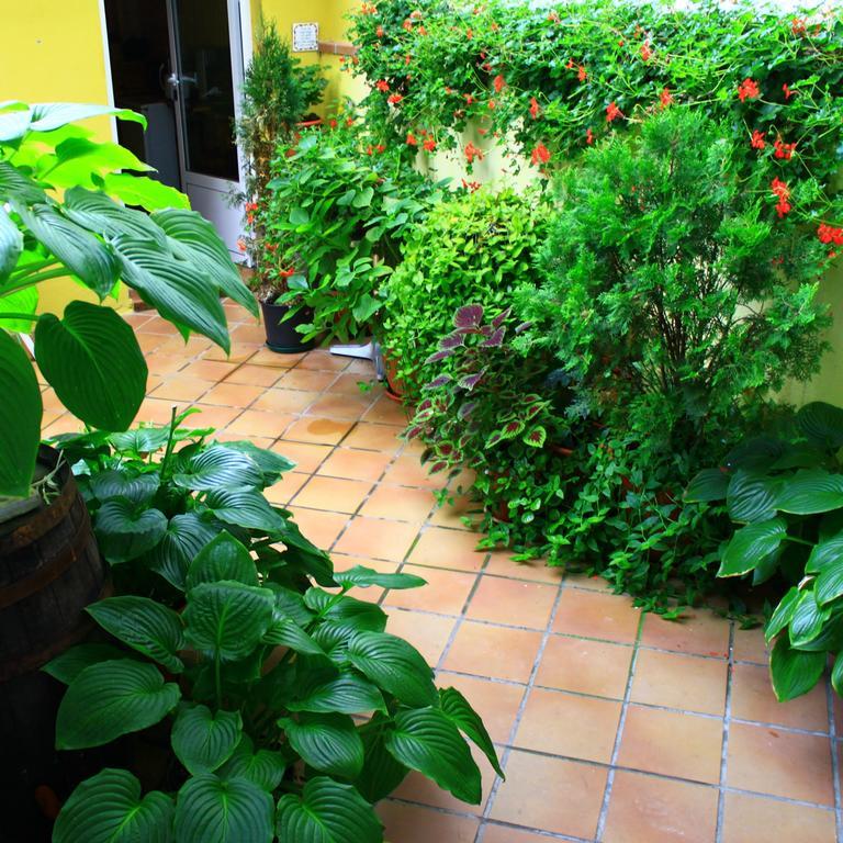 Hostal Escartin Sabiñánigo Exteriér fotografie