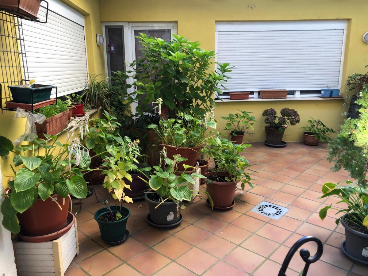 Hostal Escartin Sabiñánigo Exteriér fotografie